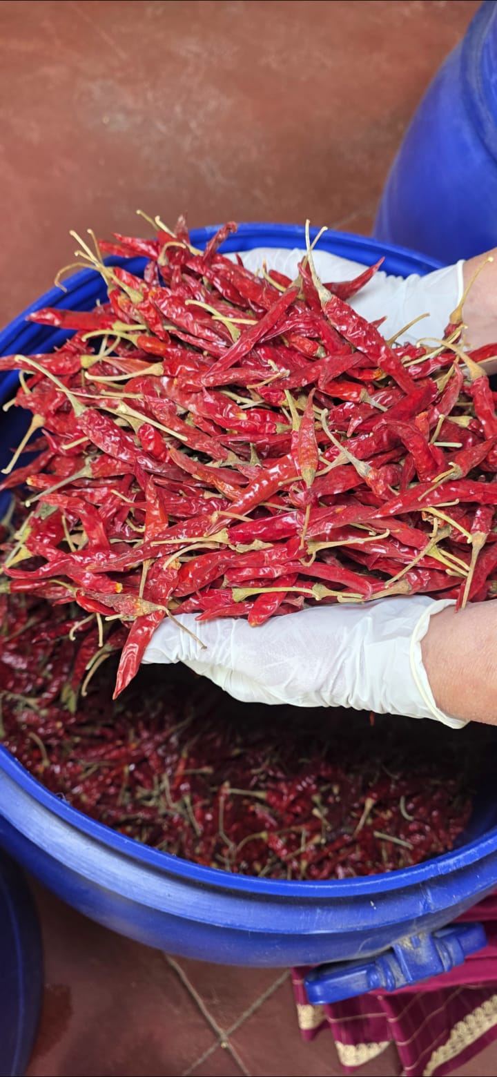 Packed orders ready for dispatch